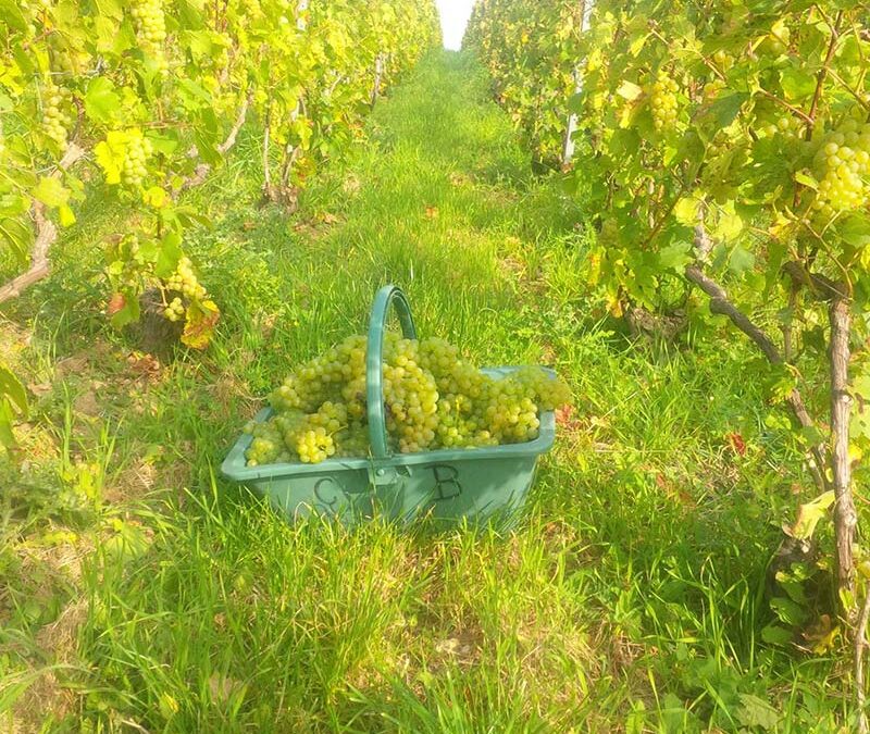 Route touristique du champagne